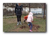 Ozelenjavanje i u Beočin selu