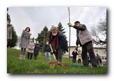 Beočin među deset gradova Srbije uključenih u projekat - Zelena Srbija