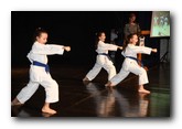 Beočinski karate klub „Cement“ obeležio 40 godina postojanja