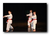 Beočinski karate klub „Cement“ obeležio 40 godina postojanja