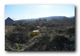 Čišćenje divlje deponije u Rakovcu