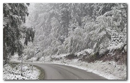 Republički hidrometeorološki zavod izdao upozorenje za područje Srbije na lokalnu pojavu ledene kiše u periodu od 5. do 7. januara &ndash; apel građanima na oprez