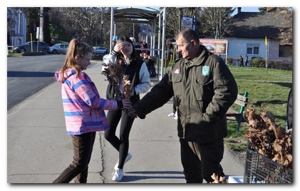 U utorak podela badnjaka u centru Beočina